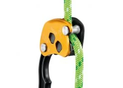 Vertical Supply Co Arborists & Tree Care Petzl Chicane Auxillary Brake