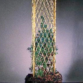 Cowlitz River Rigging Arborists & Tree Care 18" Tree Tubes 1 Cowlitz River Rigging Arborists & Tree Care 18" Tree Tubes