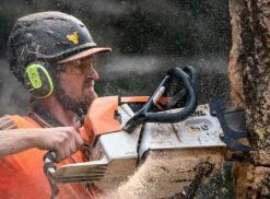West Coast Saw 3- Point Felling Dogs Logging & Forestry